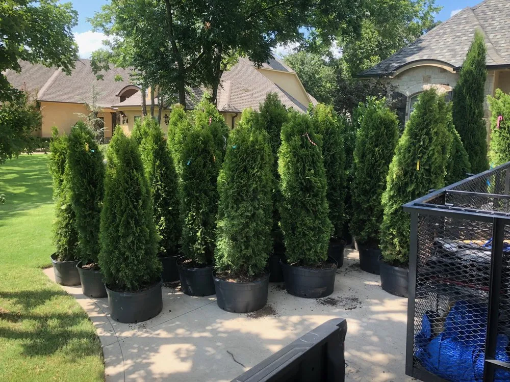 Affordable landscape design experts serving Farmersville, TX - Lincoln Landscape and Lighting