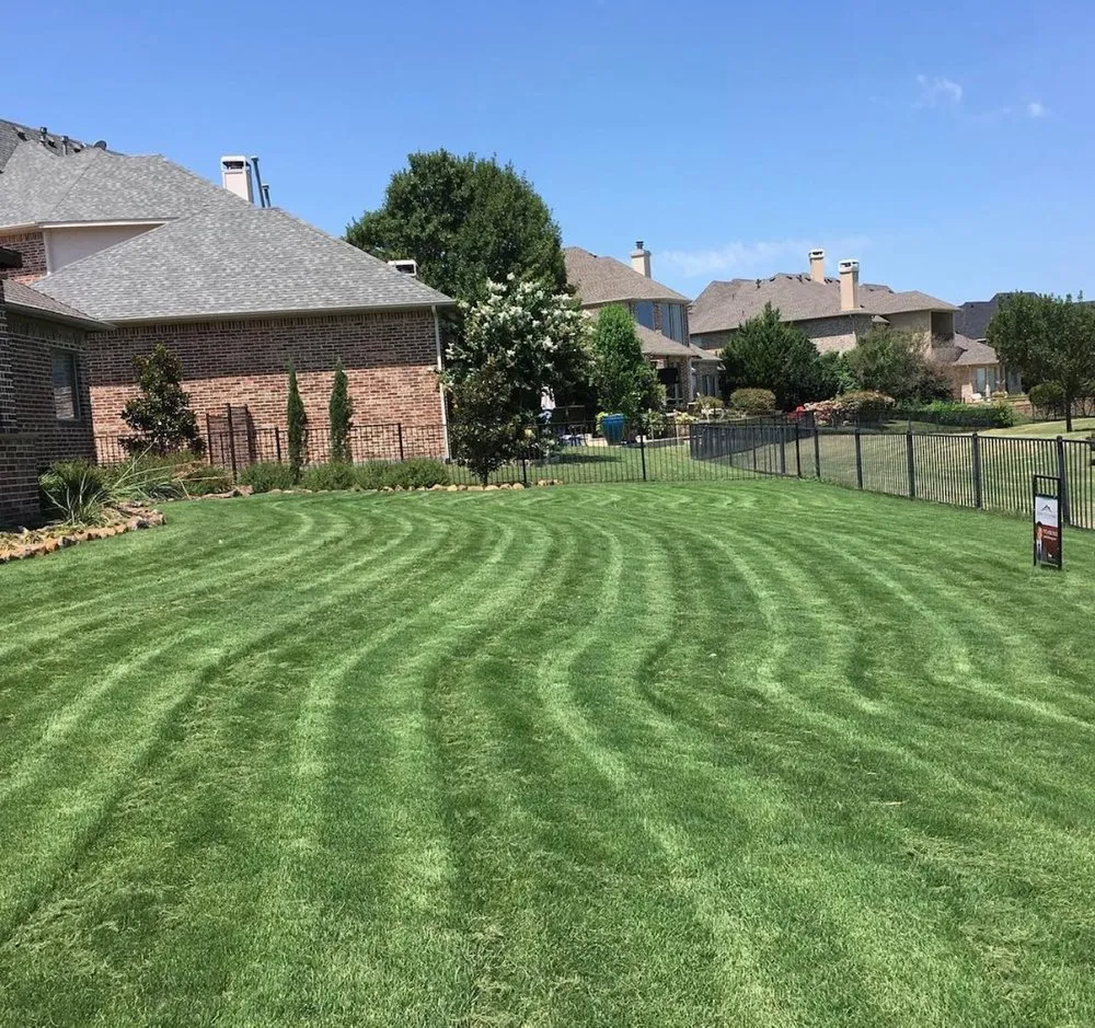 Professional yard cleanup service for homes across Farmersville, TX - Lincoln Landscape and Lighting