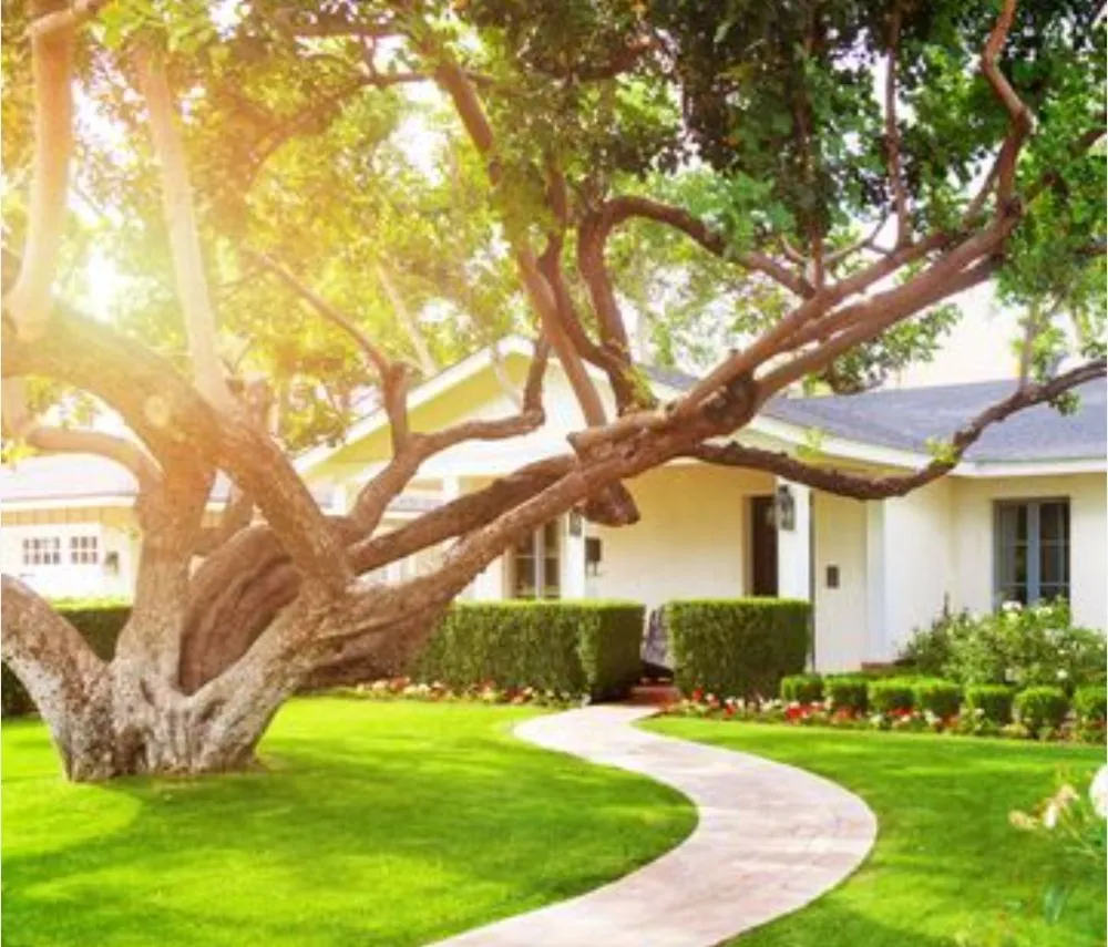 Affordable outdoor landscaping for homes in Dubach, LA by Lincoln Landscape