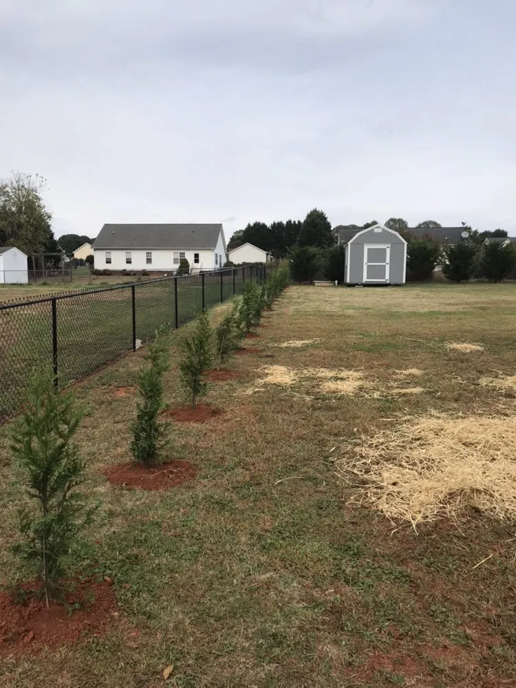 Professional yard maintenance for homes in Lincolnton, NC by Lincoln Landscape