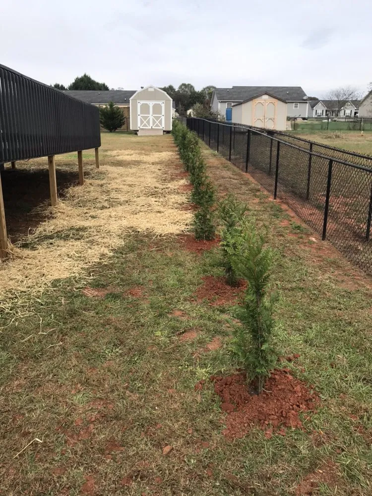 Trusted landscape design for homes in Lincolnton, NC by Lincoln Landscape