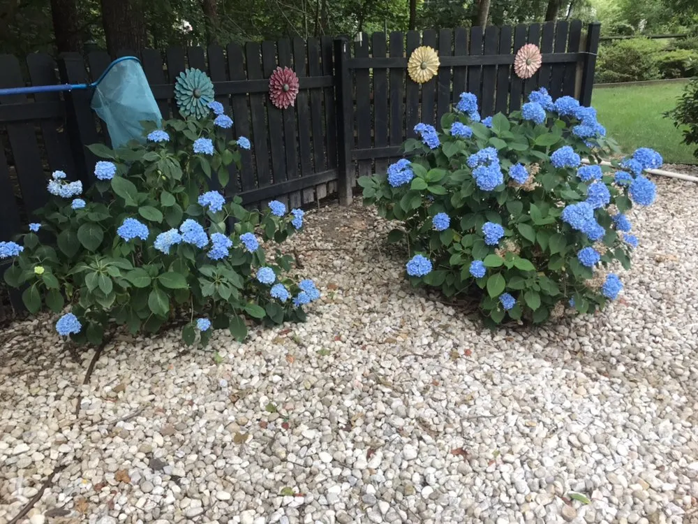 Top-rated garden landscaping in Lincolnton, NC - Lincoln Landscape