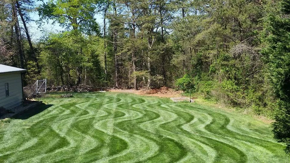 Top-rated yard cleanup service in Lincolnton, NC by Lincoln Landscape