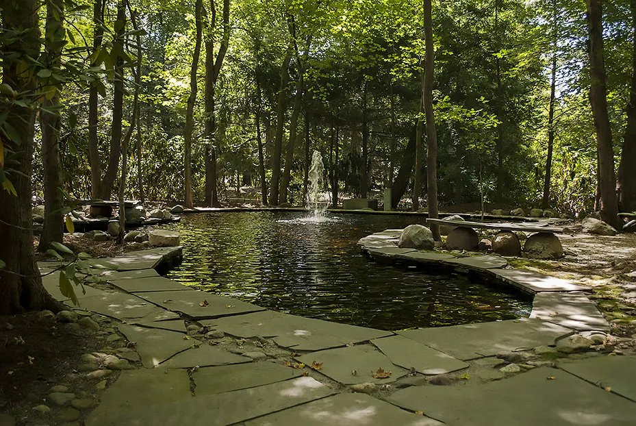 Expert yard maintenance experts serving Franklin Lakes, NJ - Lincoln Landscaping - The Natural Choice