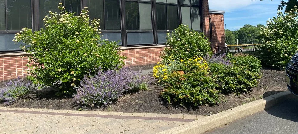 Expert outdoor landscaping in Franklin Lakes, NJ by Lincoln Landscaping - The Natural Choice