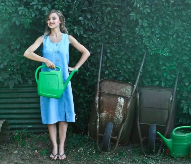 Professional yard maintenance in Lincoln, CA by Lincoln Landscaping