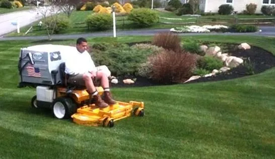 Custom landscaping services in Lincoln, CA by Lincoln Landscaping