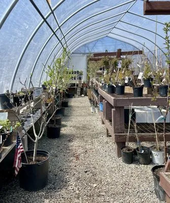 Lincoln Park Nursery