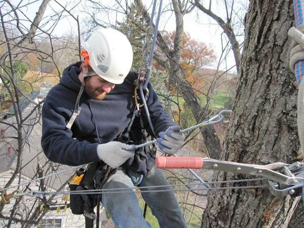 Reliable outdoor landscaping near you in Lincoln, NE by Lincoln Tree Service