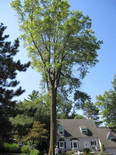 Trusted residential landscaping experts serving Lincoln, NE - Lincoln Tree Service