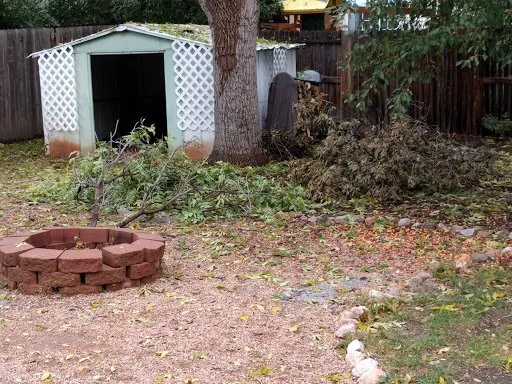 Professional lawn care service in Colorado Springs, CO - Lind Tree Service