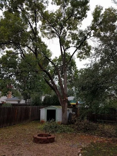 Custom landscape installation for homes across Colorado Springs, CO - Lind Tree Service