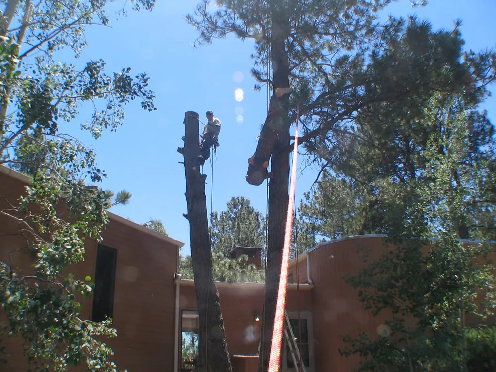 Affordable landscape design experts serving Colorado Springs, CO - Lind Tree Service