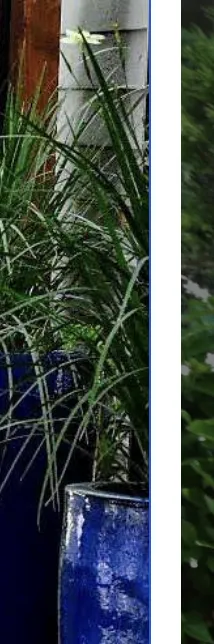 Top-rated lawn care service in Mount Pleasant, SC by Linda Greenberg Landscape & Design