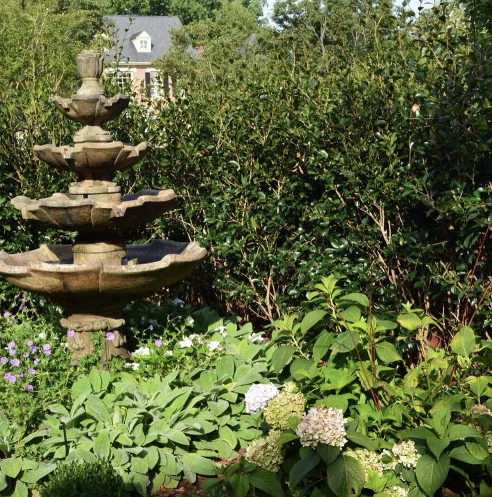 Top-rated yard cleanup service in Mount Pleasant, SC - Linda Greenberg Landscape & Design