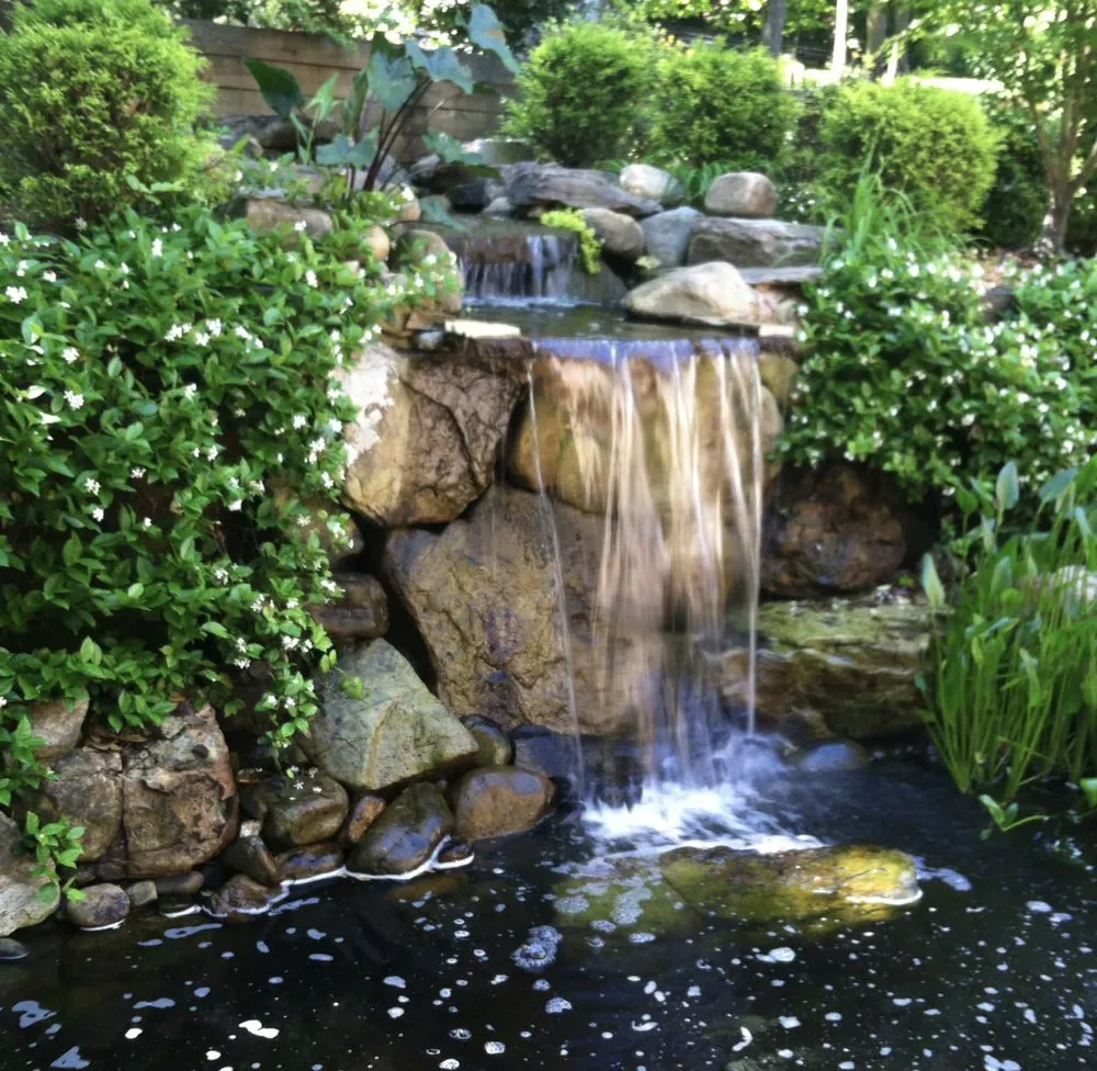 Expert landscape design in Mount Pleasant, SC by Linda Greenberg Landscape & Design
