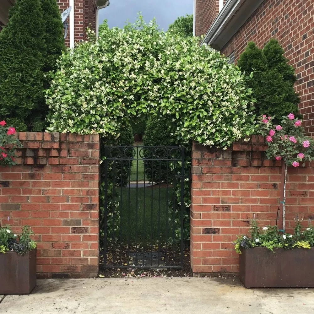 Expert landscape installation in Mount Pleasant, SC - Linda Greenberg Landscape & Design