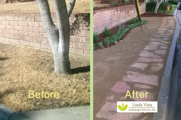 Expert landscape installation for homes across Burbank, CA - Linda Vista Landscape Services