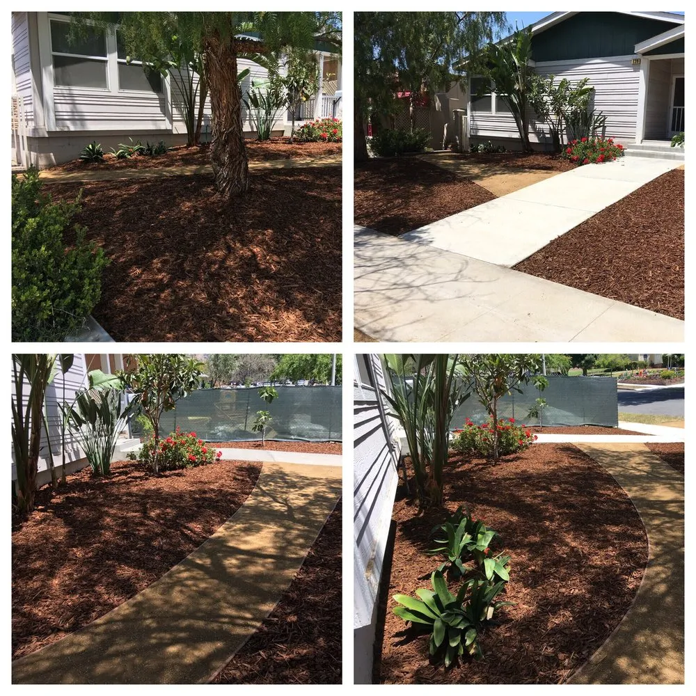 Custom landscape installation in Burbank, CA by Linda Vista Landscape Services