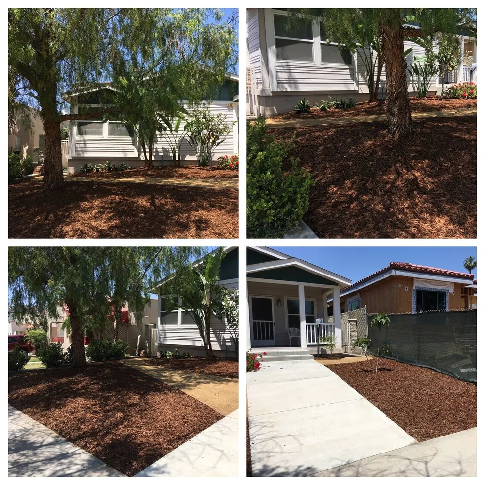 Reliable yard maintenance experts serving Burbank, CA - Linda Vista Landscape Services