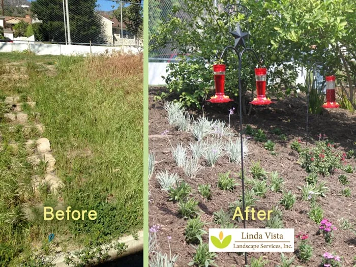Professional garden landscaping in Burbank, CA by Linda Vista Landscape Services