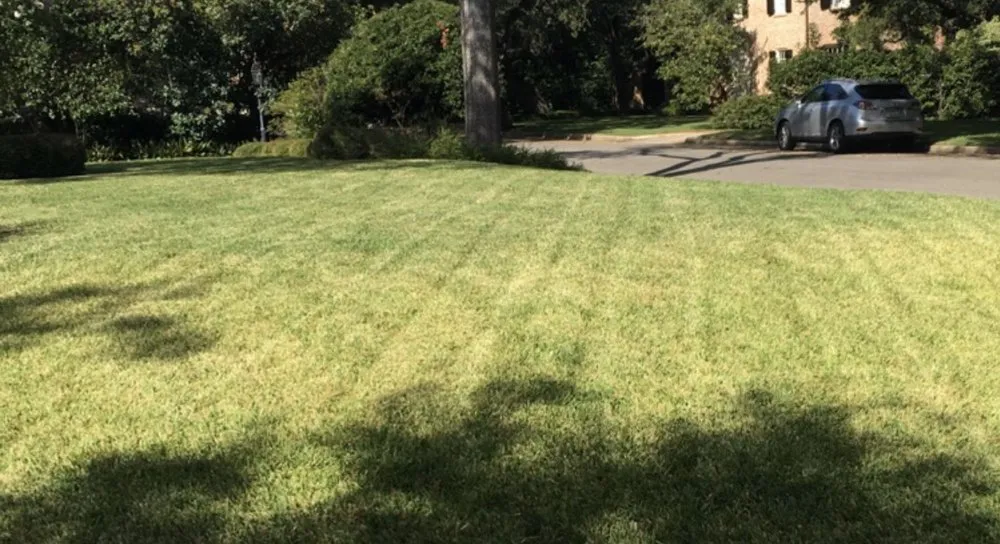 Local residential landscaping near you across Elgin, TX - Linda Vista Landscaping & Maintenance