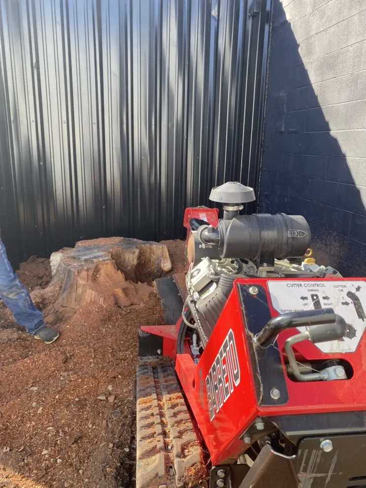 Professional landscape design for homes in Elgin, TX by Linda Vista Landscaping & Maintenance