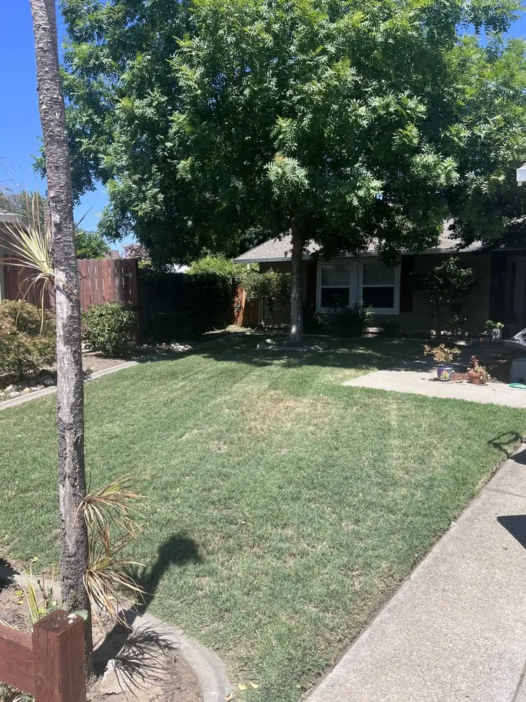 Reliable yard cleanup service for residential properties in Acampo, CA by Linda Vista Landscaping
