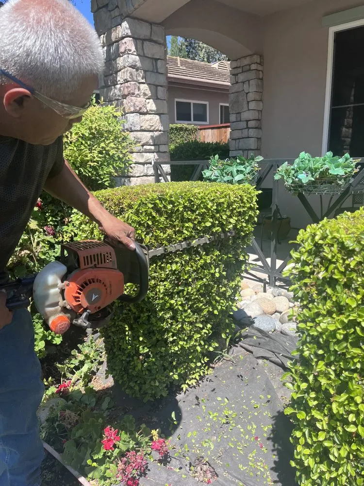 Custom landscaping services for year-round maintenance across Acampo, CA - Linda Vista Landscaping