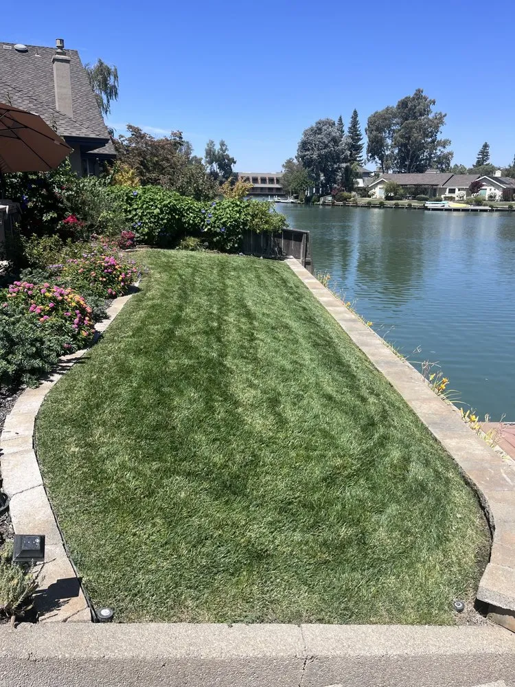 Custom landscaping services for residential properties across Acampo, CA - Linda Vista Landscaping
