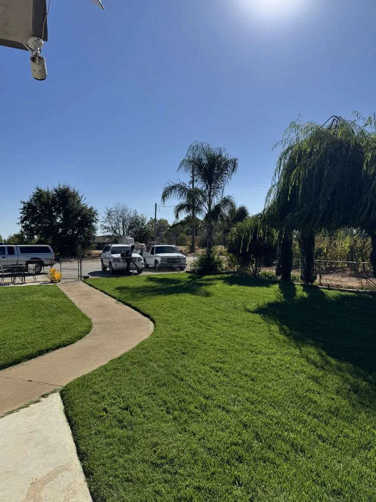 Custom yard cleanup service for year-round maintenance across Acampo, CA - Linda Vista Landscaping
