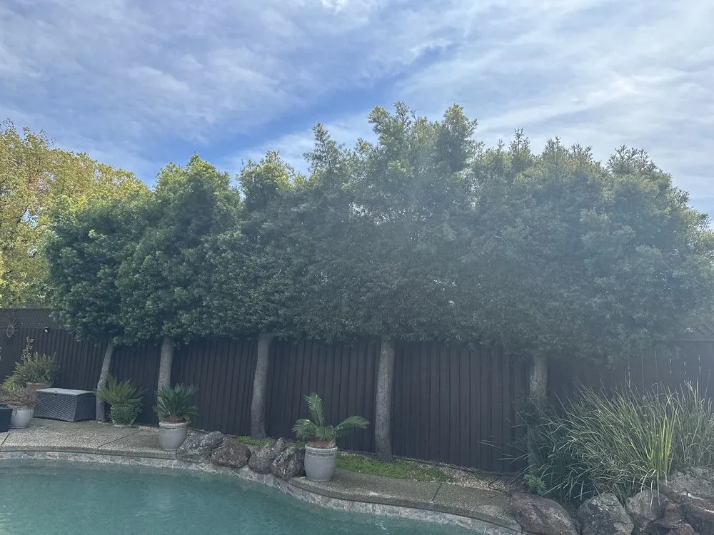 Trusted landscaping services experts serving Acampo, CA - Linda Vista Landscaping