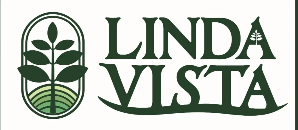Expert yard cleanup service experts serving Acampo, CA - Linda Vista Landscaping
