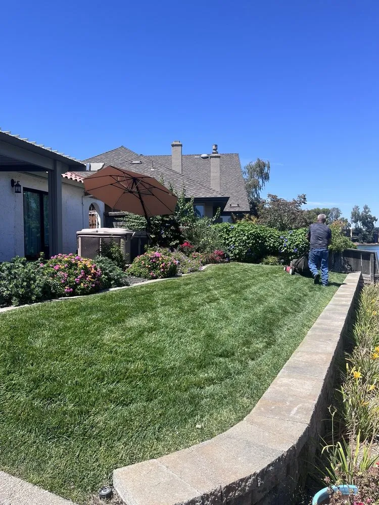 Local residential landscaping in Acampo, CA - Linda Vista Landscaping