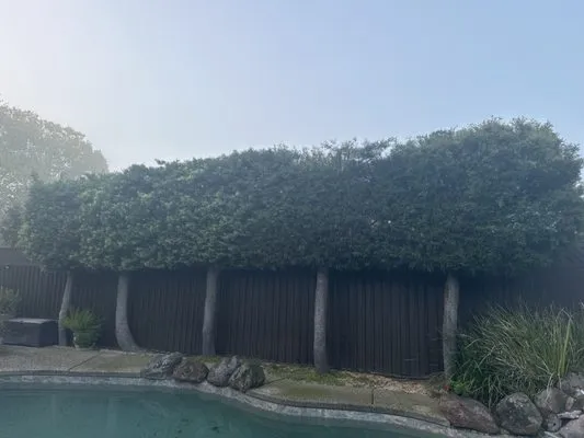 Linda Vista Landscaping