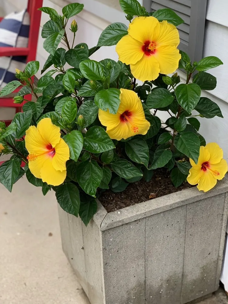 Reliable garden landscaping in Indianapolis, IN - Linda’s Lawn Care