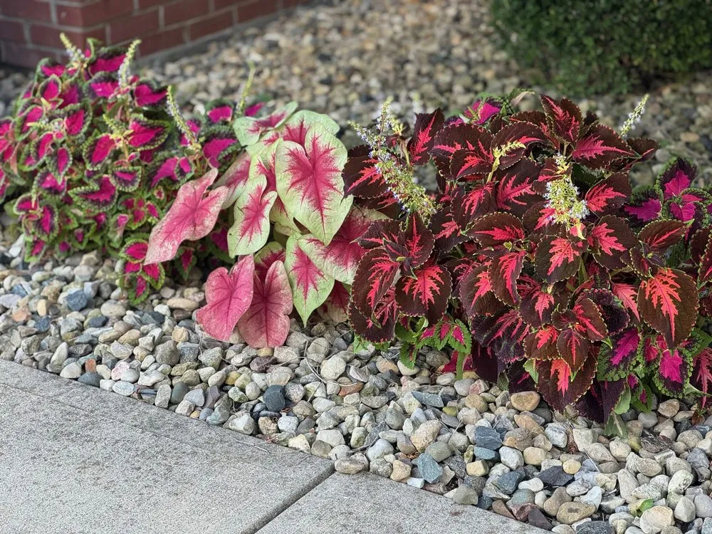 Expert lawn care service for residential properties across Indianapolis, IN - Linda’s Lawn Care