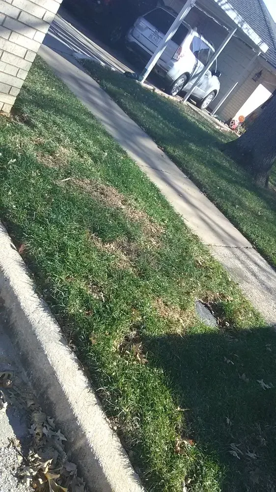 Top-rated outdoor landscaping in Cement, OK - Linda's Lawn Garden Landscaping