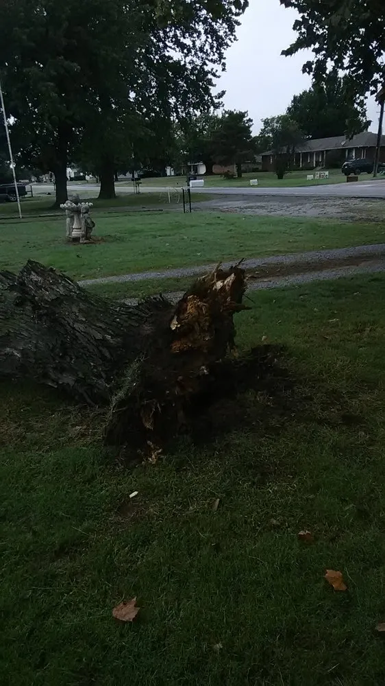 Local landscape design for year-round maintenance across Cement, OK - Linda's Lawn Garden Landscaping