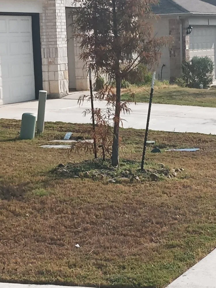 Affordable landscaping services for residential properties across New Braunfels, TX - Linda's Mowing & Hauling