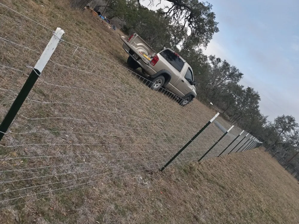 Affordable yard cleanup service for homes across New Braunfels, TX - Linda's Mowing & Hauling