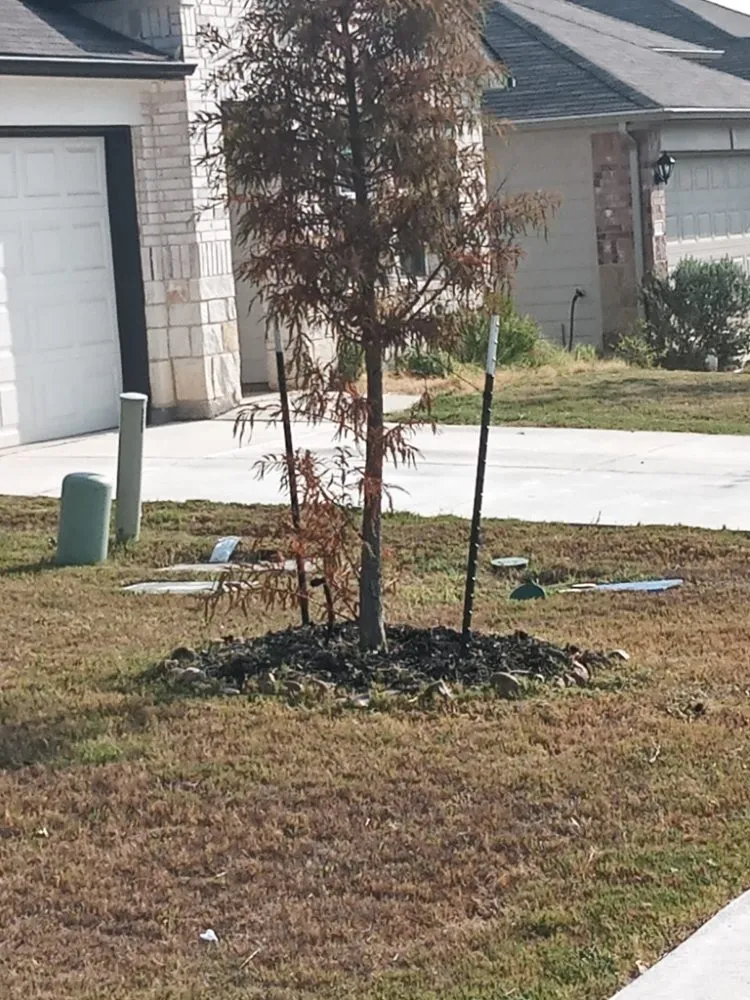 Local lawn care service in New Braunfels, TX - Linda's Mowing & Hauling