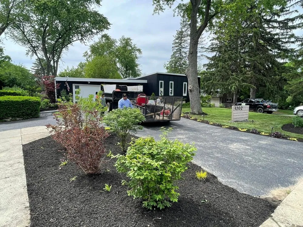 Expert yard cleanup service in West Chicago, IL - Linda’s sun