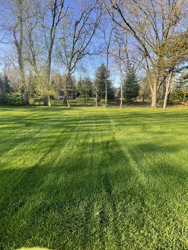 Local landscape installation for beautiful yards across West Chicago, IL - Linda’s sun