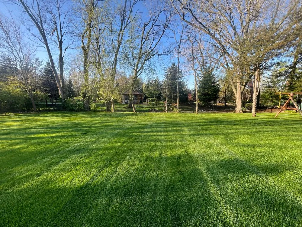 Custom lawn care service in West Chicago, IL - Linda’s sun