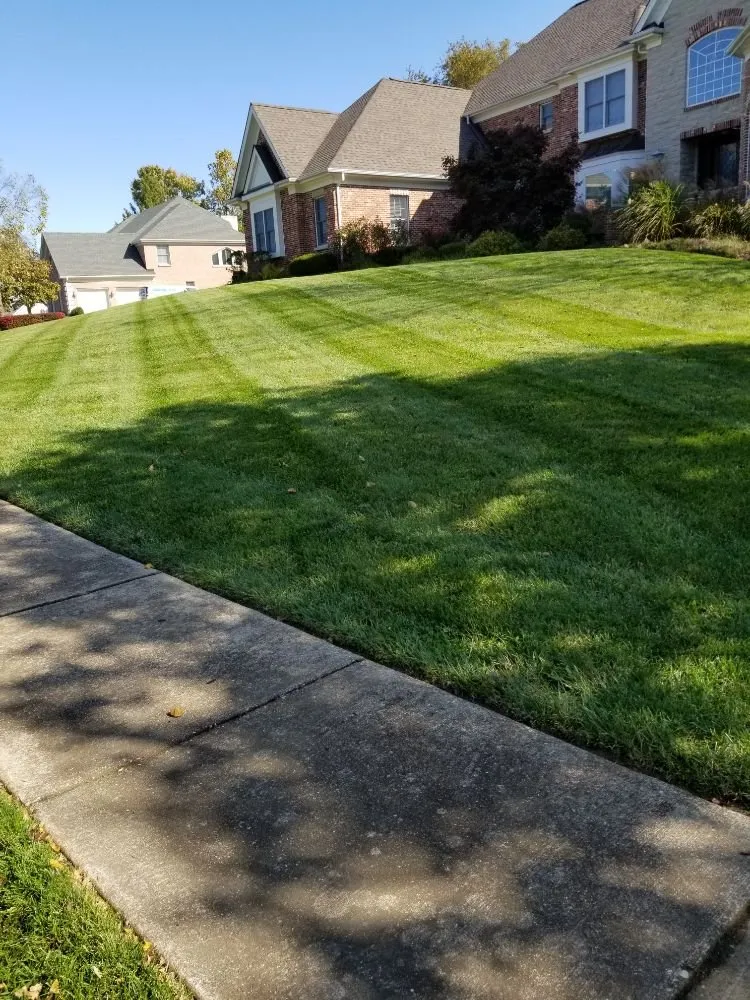 Expert landscape design in Chesterfield, MO - Lindavista Lawn And Landscape