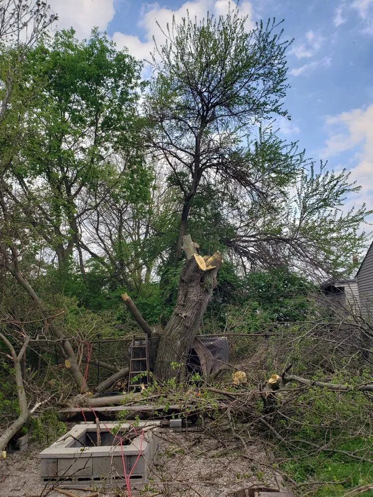 Expert landscape design near you across Cincinnati, OH - Linde Landscape