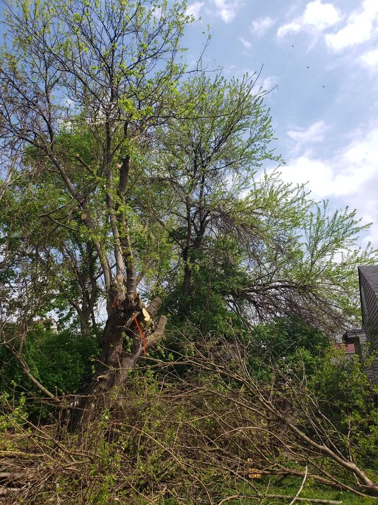 Custom landscape installation in Cincinnati, OH - Linde Landscape