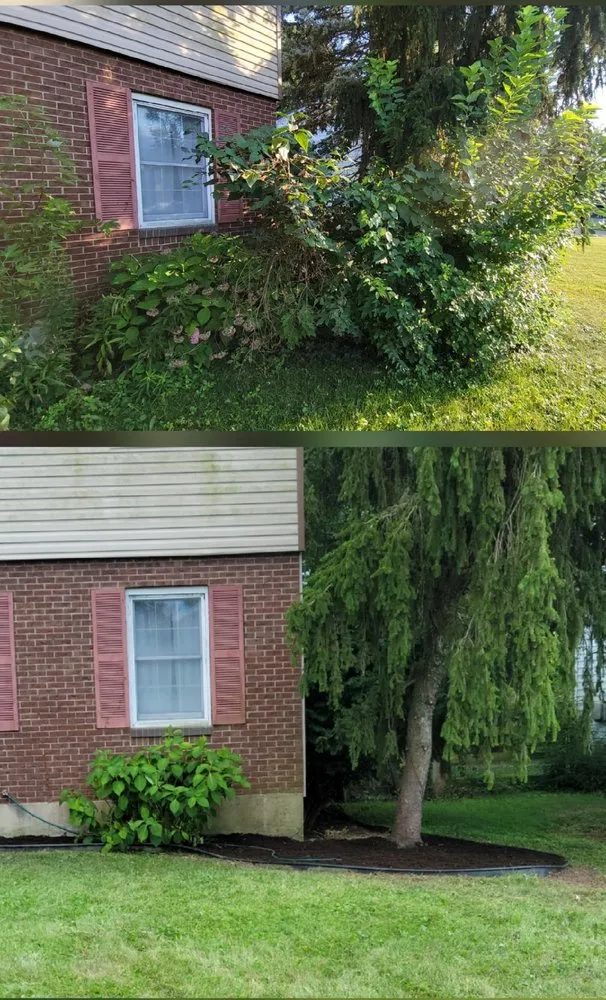 Top-rated yard maintenance in Cincinnati, OH - Linde Landscape