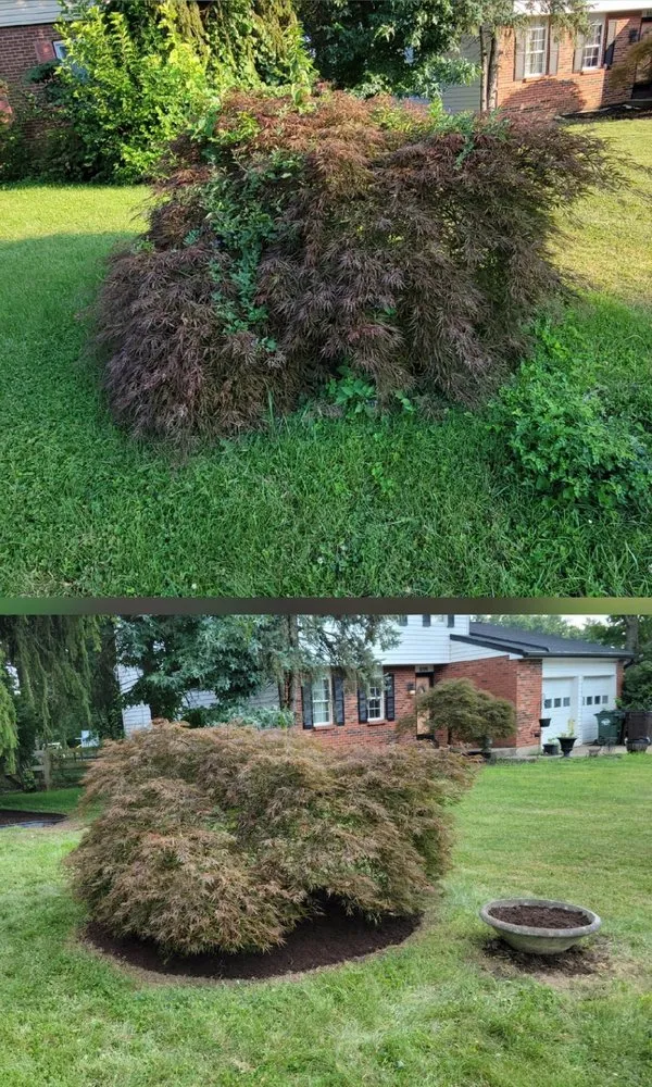 Custom landscaping services in Cincinnati, OH - Linde Landscape